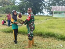 Babinsa Desa Werinama, Serma Moh Aviv Sikdewa Bersama anak Sekolah dan Para Guru Membersihkan Lingkungan Sekolah