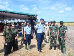 Dukung Ketahanan Pangan Nasional, Lanud Harry Hadisoemantri Hadiri Panen Raya Serentak