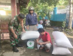 Babinsa Kelurahan Lamatti Rilau Koramil 1424-01/Sinjai Utara Kodim 1424/Sinjai Dampingi Tim Bulog Serap Gabah Petani