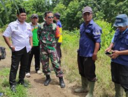 Babinsa Sebakung Taka Laksanakan Pendampingan Kepada Kelompok Tani