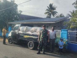 Babinsa Lamatti Rilau Koramil 1424-01/Sinjai Utara Kodim 1424/Sinjai Dampingi Tim Bulog Serap Gabah Petani