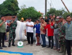 Pastikan Harga Rp 6.500′-/Kilogram, Dandim 1404/Pinrang Bersama Kadistan dan Ka Bulog Tinjau Penyerapan Gabah Petani