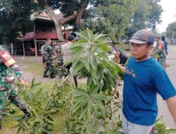 Babinsa Koramil-06 Kodim 1404/Pinrang dan Warga Bersihkan Ranting Pohon Demi Kenyamanan Pengguna Jalan