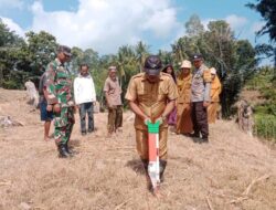 Babinsa Desa Kaloling Koramil 1424-04/Sinjai Timur Kodim 1424/Sinjai Dampingi Petani Tanam Jagung