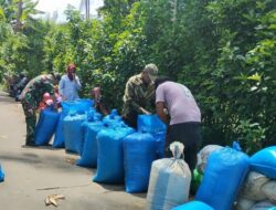 Babinsa Pattongko dari Pos Ramil 05/Tellulimpoe Kodim 1424/Sinjai Dampingi Bulog Sunjai Serap Gabah Petani