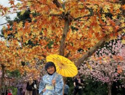 ST Aisyah Abidah Azzahra Berjuang di Ana` Dara Melebbi Kalo Lo Mageretta, Dukung dengan Vote Anda!