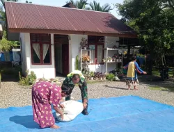 Dukung Ketahanan Pangan Babinsa Koramil 02/Seunagan Bantu Warga Menjemur Padi Di Desa Binaan