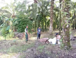 Dengan Cara Komsos, Babinsa Posramil Tripa Makmur Sosialisasikan Bahaya Karhutla.