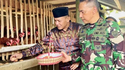 TNI JADI GARDA TERDEPAN, MOMOK KKB PAPUA MAYJEN TNI LUCKY AVIANTO TURUN LANGSUNG JADI PETERNAK AYAM PETELUR