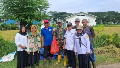 Babinsa Koramil 1405-05/Mallusetasi Kawal Ubinan Padi di Mallusetasi, Hasil Capai 7,6 Ton per Hektare