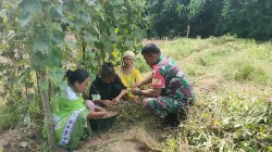 Babinsa Koramil 1404-05/Patampanua Laksanakan Pemantauan Tanaman Pangan Warga