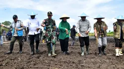 TANAM PADI SERENTAK DI WANINGGAP KAI, MEMACU PERCEPATAN SWASEMBADA PANGAN DI MERAUKE