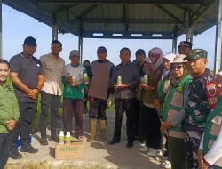 Babinsa Koramil 1404-08/Lanrisang Laksanakan Pemberantasan Hama Bersama Petani