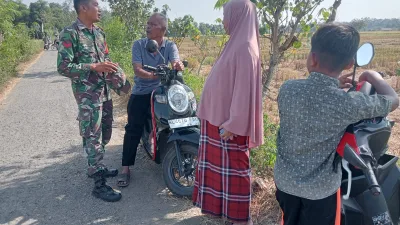 Babinsa Tiro Pantau Panen Padi dan Gelar Komsos, Dukung Ketahanan Pangan di Dayah Teungoh