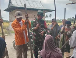 Dukung Petani, Babinsa Koramil 1404-03/Mattiro Bulu Hadiri Panen Padi Warga