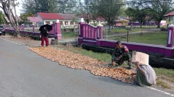 Sembari Komsos, Babinsa Koramil 02/Simeulue Tengah Bantu Warga Jemur Pinang Hasil Panen ‎