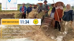 Babinsa Hadir di Tengah Petani, Sergab di Cikaret Dorong Produktivitas Panen