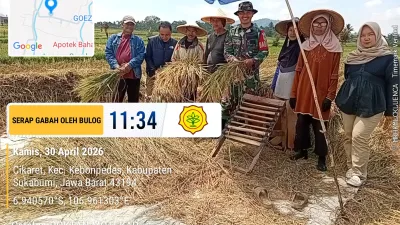 Babinsa Hadir di Tengah Petani, Sergab di Cikaret Dorong Produktivitas Panen