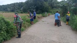 Babinsa Koramil 1405-08/Tanete Riaja Bersama Warga Gelar Kerja Bakti Bersihkan Jalan Dusun Paria