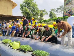 Dandim 0607/Kota Sukabumi Bersama Forkopimda dan Petani Gelar Penanaman Perdana Dukung Ketahanan Pangan Nasional 2026