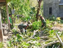 Koramil 1405-08 Bantu Warga Bersihkan Pohon Tumbang yang Menimpa Rumah di Desa Libureng