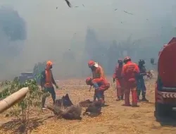 Gerak Cepat Kodim 1404/Pinrang Tangani Karhutla di Sejumlah Wilayah