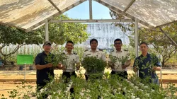 Produktifkan Lahan, Lapas Banjarbaru Panen 200 Netpot Seledri Hidroponik
