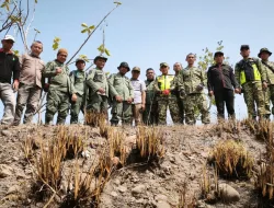 Pastikan Kesiapan Pembangunan, Dandim 1404/Pinrang Tinjau Lokasi YON TP di Desa Watang Kassa