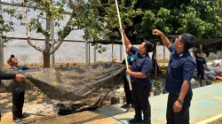 Lapas Banjarbaru Optimalkan Lahan Pertanian, Panen 32 Kg Alpukat untuk Dukung Ketahanan Pangan
