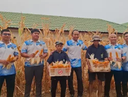 Optimalkan SAE, Lapas Banjarbaru Panen 100 Kg Jagung Kering untuk Pakan Ternak Ayam