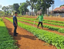 Rawat Tanaman di Kebun SAE, Rutan Pelaihari Perkuat Pembinaan Kemandirian Warga Binaan