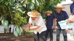 Lapas Banjarbaru Ajak Sahli Menteri Imipas Panen Hasil Pembinaan Kemandirian Warga Binaan